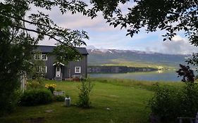 Aline's Stue, B&B